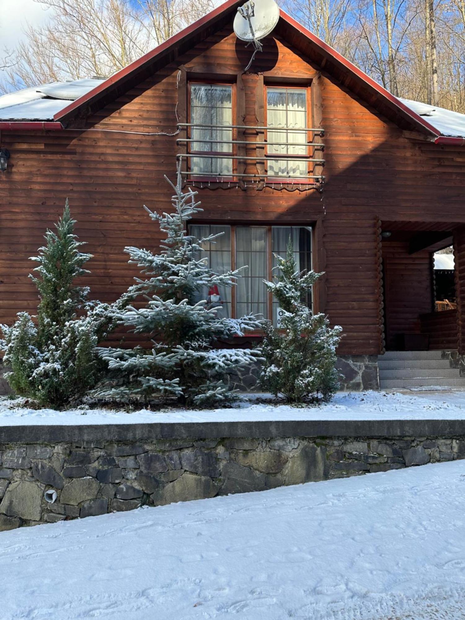 Домик В Горах Villa Tur'ya Paseka Eksteriør bilde